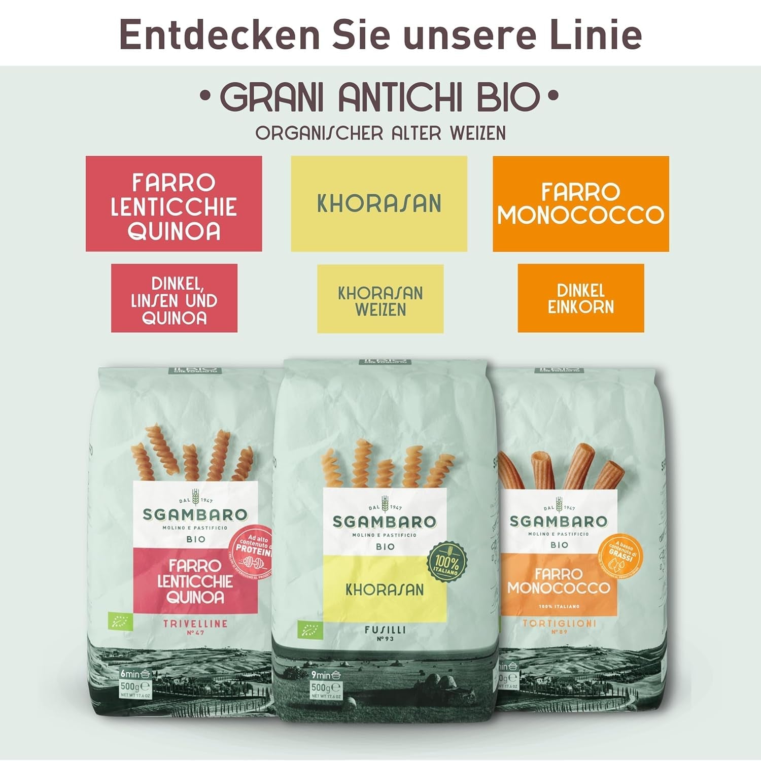 Biologische spaghettipasta nr. 5 - 500 g Khorasan-tarwe – Oude tarwe, rijk aan eiwitten, 100% Italiaans geteeld – Veelzijdig in de keuken en rijk aan voedingsstoffen