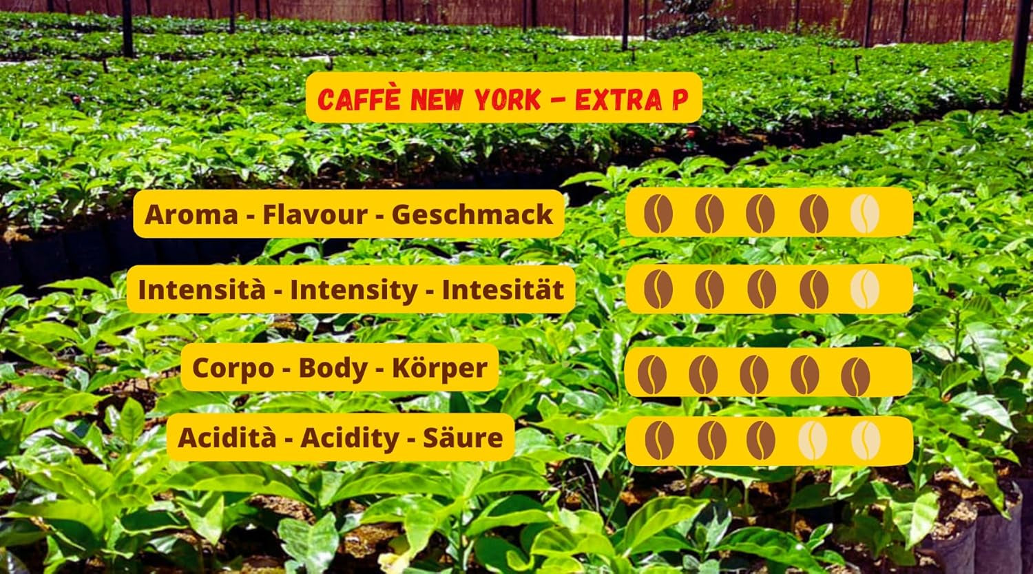 New York Coffee - EXTRA P - Koffiebonen, krachtige en beslissende smaak, Arabica- en Robusta-bonen, voor het malen, Italiaanse espresso, barblend - premium kwaliteit sinds 1930 - 1 kg, bonen
