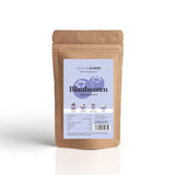 Bosbessen | gelyofiliseerde bosbessen, heel uit Duitsland | regionaal = 100% Noord-Duitsland | oogst 2024, 40 g Naty Shop gedroogde producten 250 G