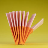 RENOVA ORANGE FIZZ Zakdoekjes 6 pakjes