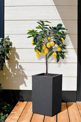 Volcania Up plantenbak, vierkant, hoog, 36 l, steenlook, enkelwandig, watertank, 29,5 x 29,5 x 49,5 cm, antracietgrijs