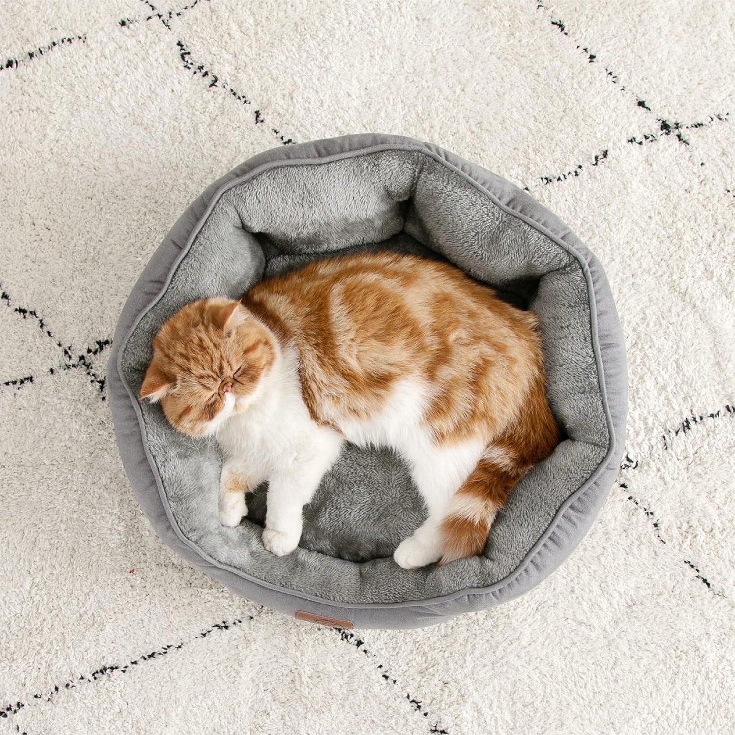 Bedden en banken, dekens en meubels, huisdieren, katten, kattenbedden, katten - bedden, matrassen