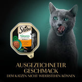 SHEBA Natvoer voor katten, Nature's Collection in kalkoensaus, 2 x 11 x 85 g