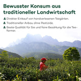 Tie Guan Yin Oolong-thee uit Anxi, China | Oogst 2025 | Chinese Oolong-thee van hoge kwaliteit | Premium Chinese thee van traditionele plantages 100 g