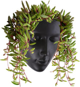 Notakia gefacetteerde wandgemonteerde binnen-buiten plantenbak met afvoer voor vetplanten, cactussen en kleine planten, unieke huisdecoratie, cadeau voor vrienden en familie