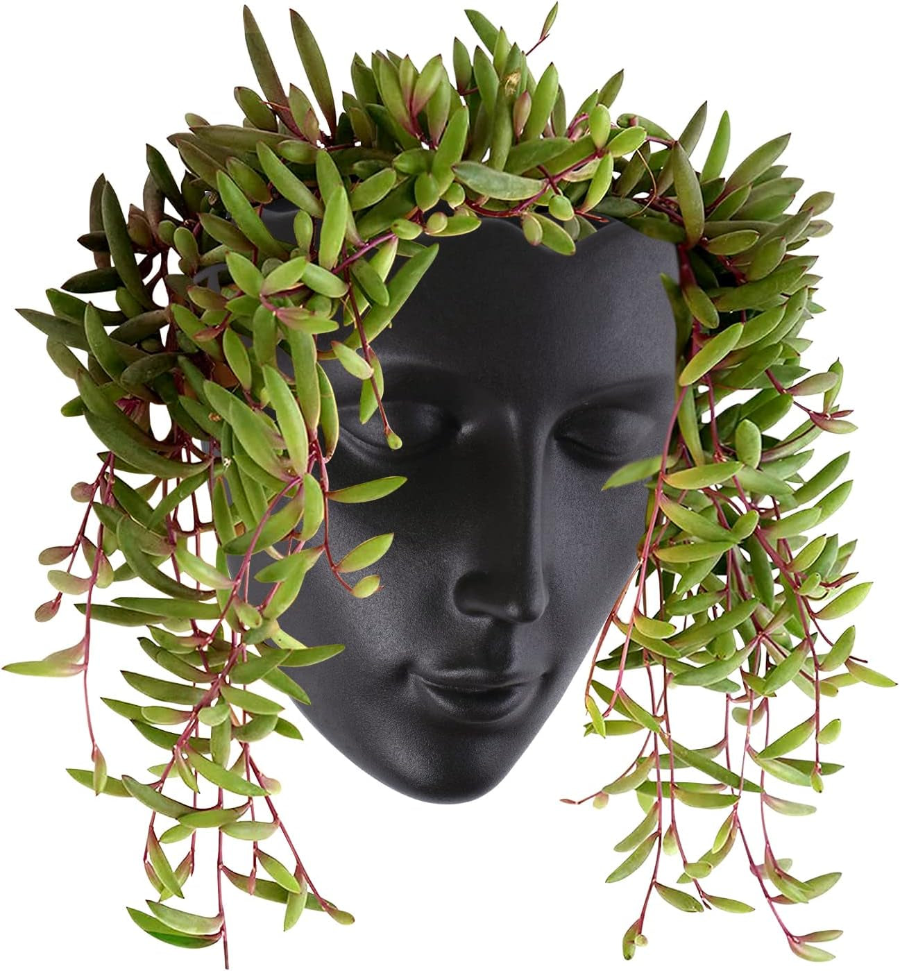 Notakia gefacetteerde wandgemonteerde binnen-buiten plantenbak met afvoer voor vetplanten, cactussen en kleine planten, unieke huisdecoratie, cadeau voor vrienden en familie