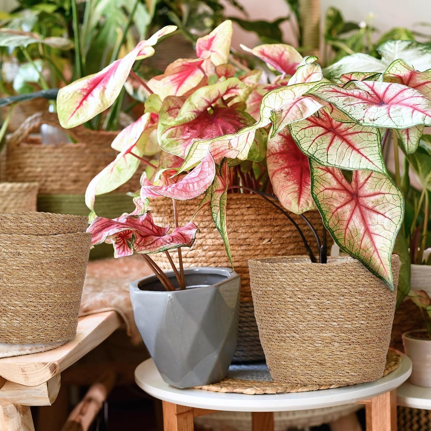 Relaxdays bloempotten van zeegras set van 3 ronde bloemen- en kruidenmand met folie 3 maten plantenbak naturel