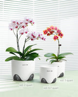 Orchideebloempot met drainagegaten voor verplanten, uitstekende luchtcirculatie, 2 stuks, dubbellaags plastic, keramische orchideeënplanter, transparante orchideebloempot, decoratief