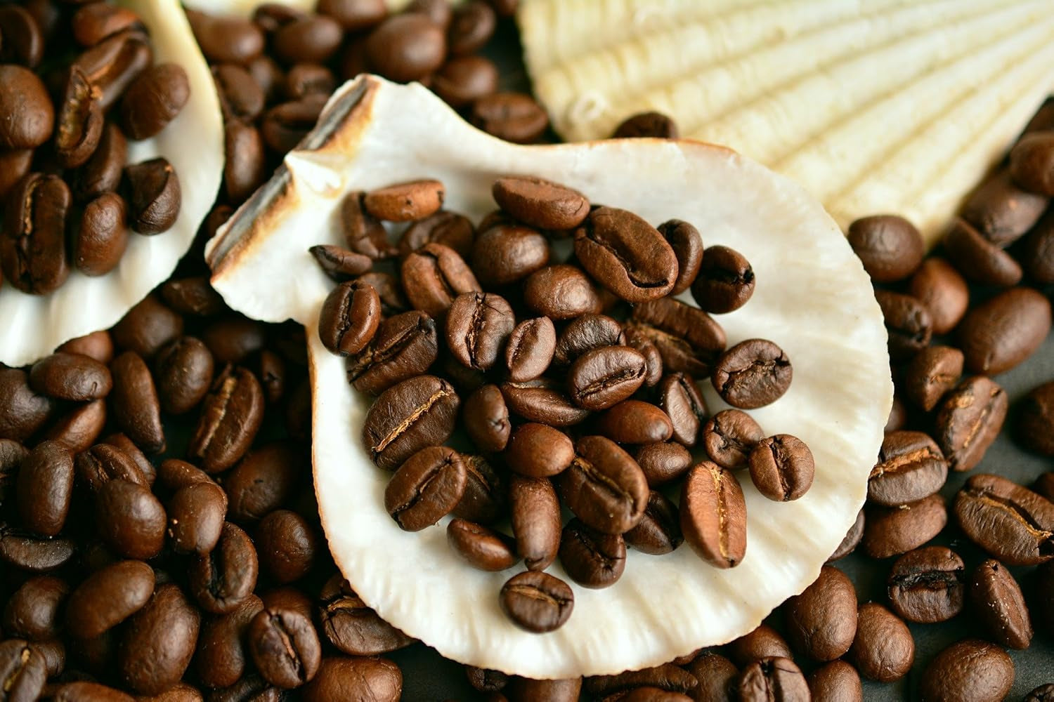 Kaffeespezialität Aus Mittelamerika - Guatemala, Dem Land Der Maya (Ganze Bohne,1000 Gramm) - Länderkaffee - Spitzenkaffee - Säurearm - Schonend en Frisch Geröstet