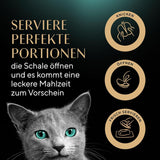 SHEBA Perfect PORTIONS saus voor katten met kalkoen 8 x 3 x (2 x 375 g)