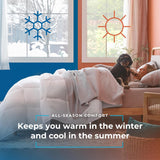Linnenspa all-season dekbed - eenpersoons microvezeldekbed 10,5 Tog - Oeko-Tex, alternatief dekbed met dons, wit Dekbedden en dekbedden Naty Shop