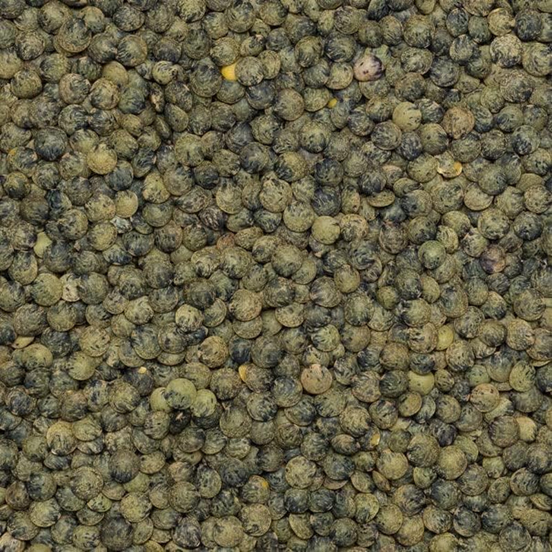 Wholefood Earth Biologische Franse Stijl Donkergroene Linzen 1kg Niet-GMO | Veganistisch | Rijk aan vezels | Rijk aan eiwitten | Gecertificeerd biologisch