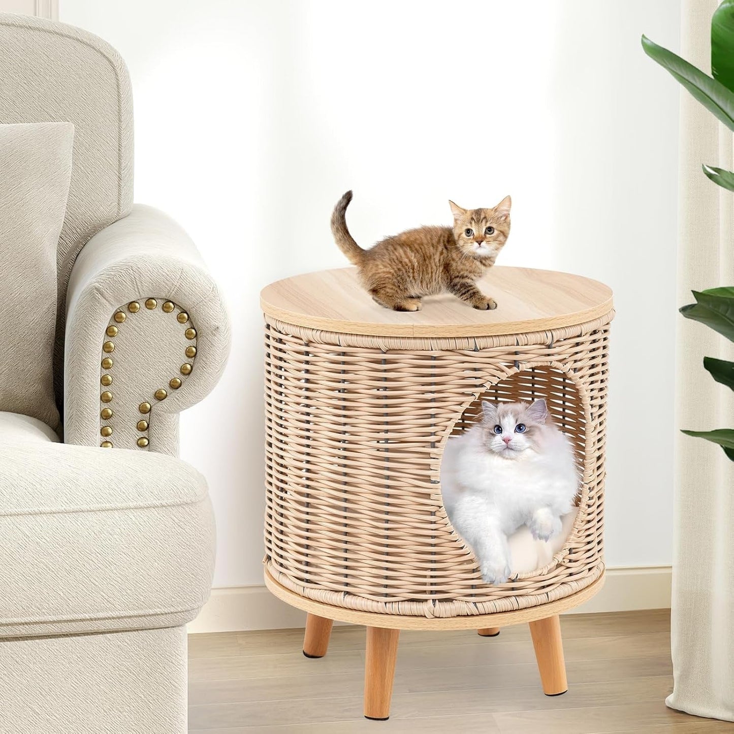 Katzenhaus Rattan, Katzenmöbel mit Holzbeinen & soft Kissen, 3 in 1 Katzenhöhle Fußhocker Nachttisch, Katzenbett stabil bis 30 kg voor Wohnzimmer Schlafzimmer