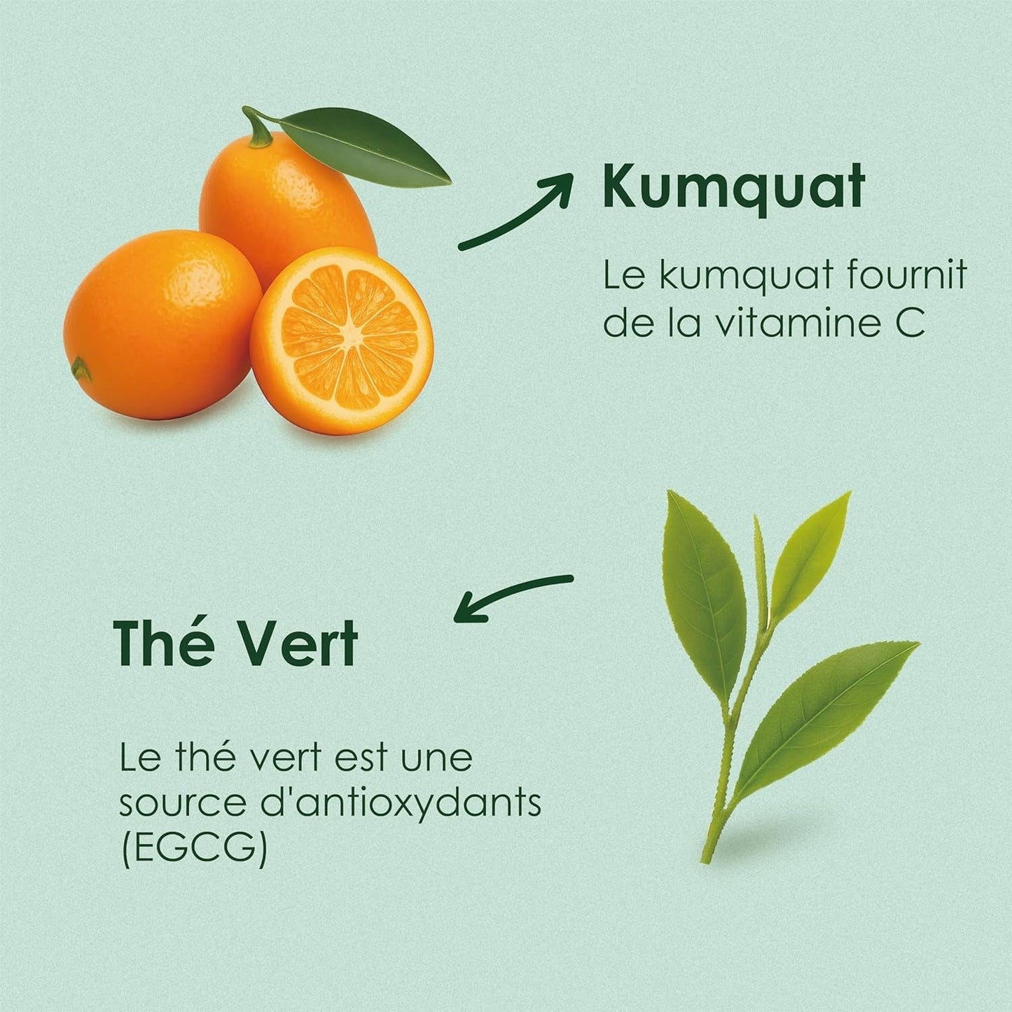 Yunnan Tuocha Zouji - Biologische groene thee met kumquat - Vitamine C - 100 theezakjes - 200 g - Yunnan-kwaliteit gegarandeerd