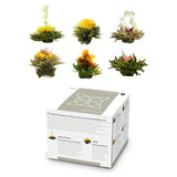 Feelino Elegant 6-delige mixdoos - Feelino witte theebloemen in een prachtige proef- en geschenkdoos met 6 verschillende witte theeroosjes, individueel vacuüm verpakt, 1 stuksverpakking