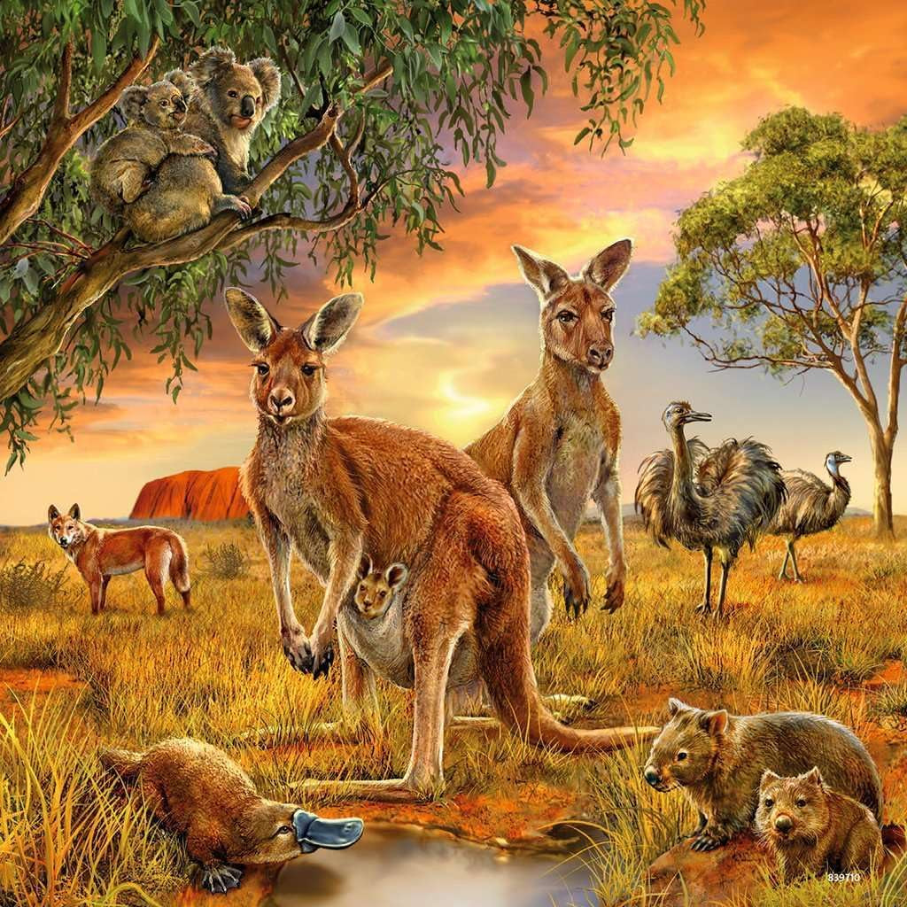 Ravensburger Puzzel voor kinderen - 09330 Dieren van de Aarde - Puzzel voor kinderen vanaf 5 jaar, met 3X49 stukjes Puzzel Naty Shop