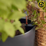 Plantenbak LECHUZA Classico Kleur ECO 60 Donkergrijs | Plantenbak met bewateringssysteem en waterniveau-indicator | Gemaakt van 100% gerecycled plastic | Matte afwerking | Ø 60 x 55,5cm | 18955