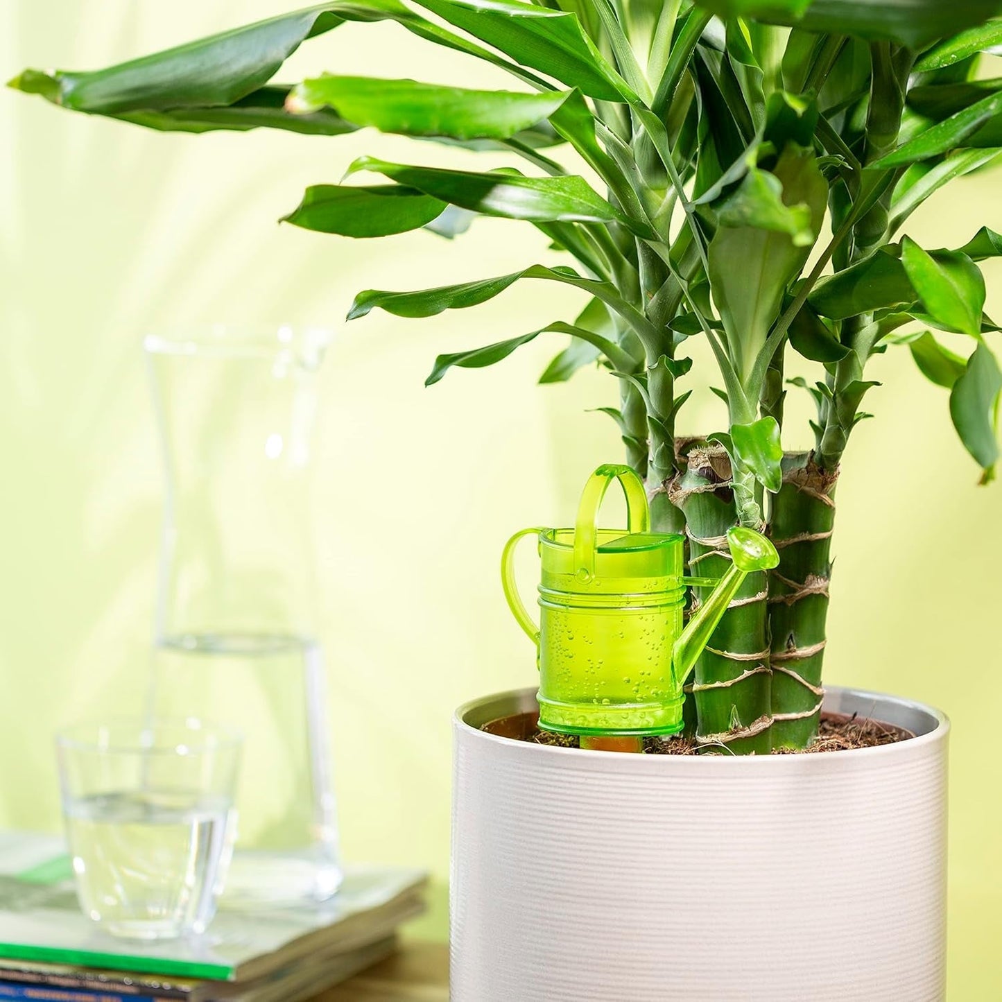 Scheurich Nelly M, kunststof watertank, kleur: Nelly M, groen, 13 cm breed, 7 cm diep, 22 cm hoog, inhoud 0,2 l.