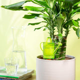 Scheurich Nelly M, kunststof watertank, kleur: Nelly M, groen, 13 cm breed, 7 cm diep, 22 cm hoog, inhoud 0,2 l.