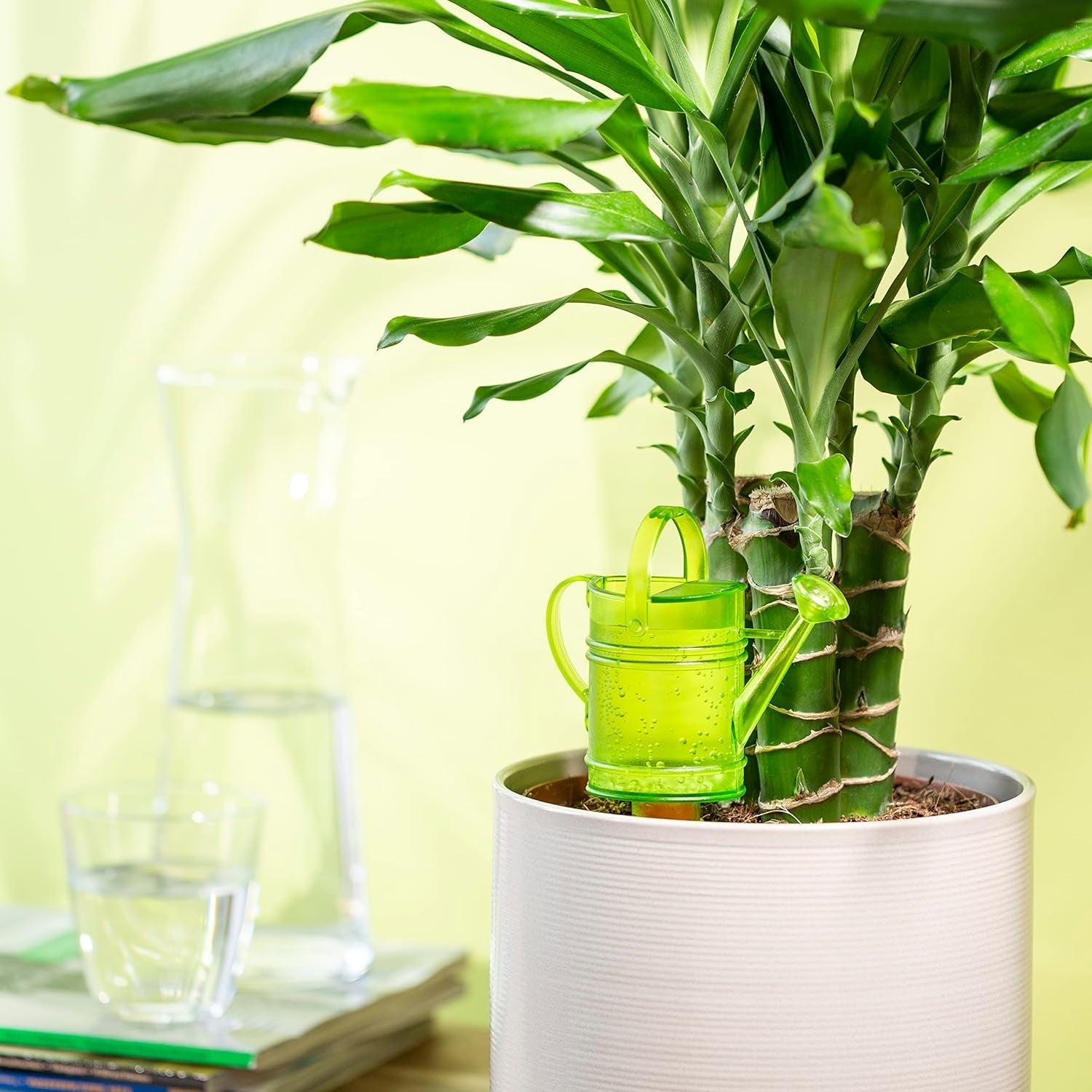 Scheurich Nelly M, kunststof watertank, kleur: Nelly M, groen, 13 cm breed, 7 cm diep, 22 cm hoog, inhoud 0,2 l.