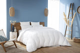 Abeil Ferran Ice 200 dekbed, 200 X 200 Cm Dekbedden en dekbedden Naty Shop