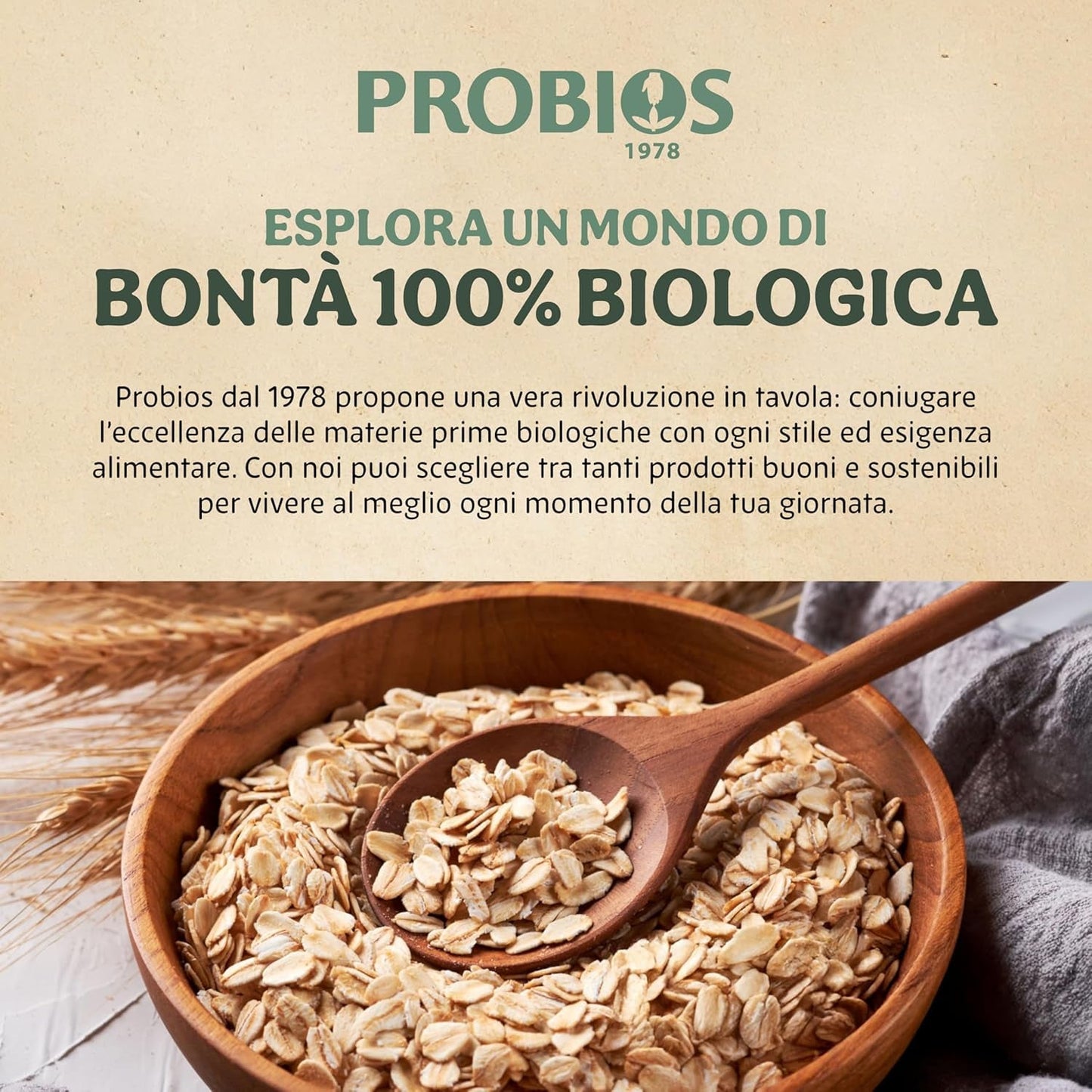 Lichte biologische cornflakes 500g per verpakking