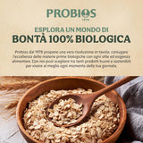 Lichte biologische cornflakes 500g per verpakking