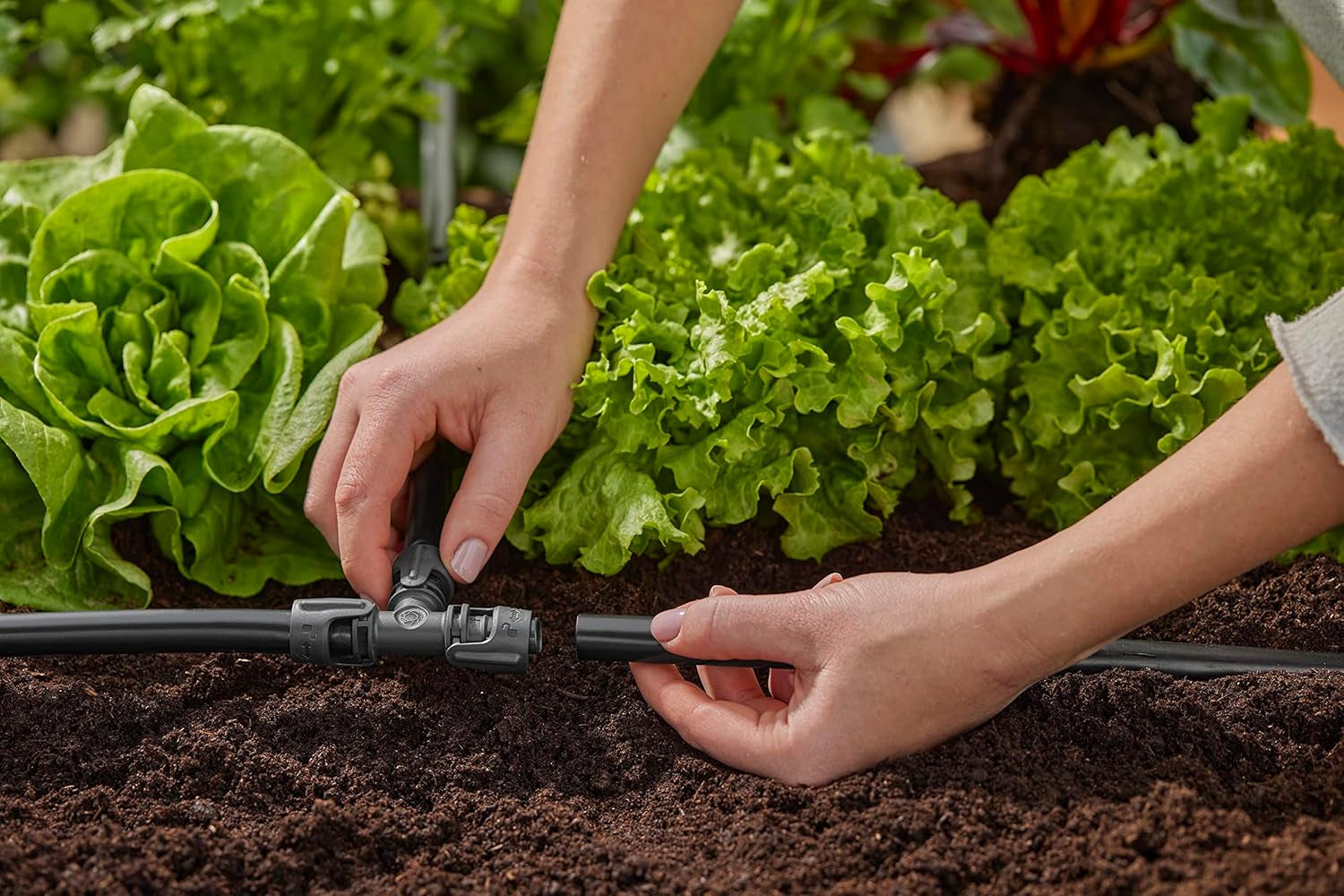 Gardena Micro-Drip-irrigatiesysteem T-stuk 13 mm (1/2"): connector voor 13 mm toevoerleidingen, T-tak, automatische irrigatie, herbruikbaar (13201-20)