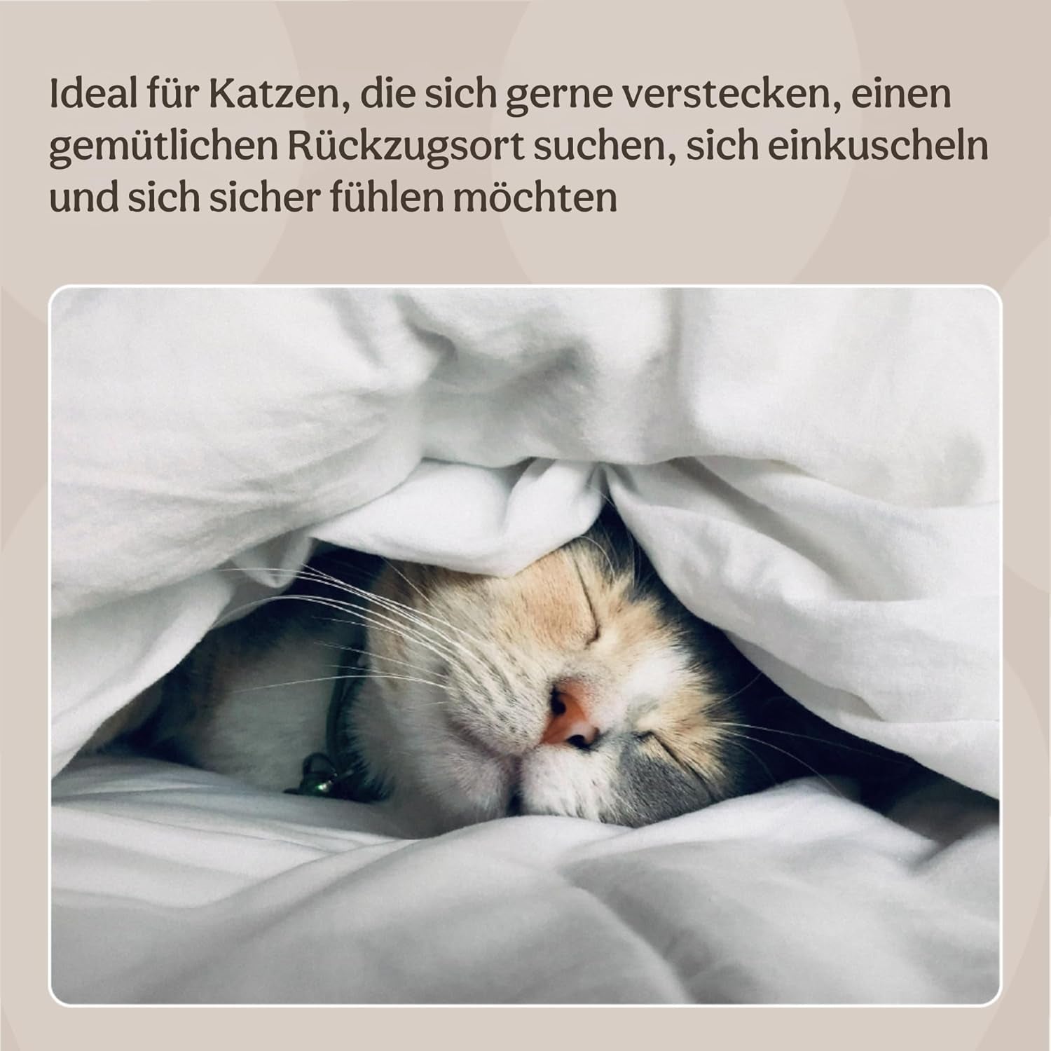 Bedden, dekens & meubels, huisdieren, katten, kattenbedden, Katten - bedden, matrassen