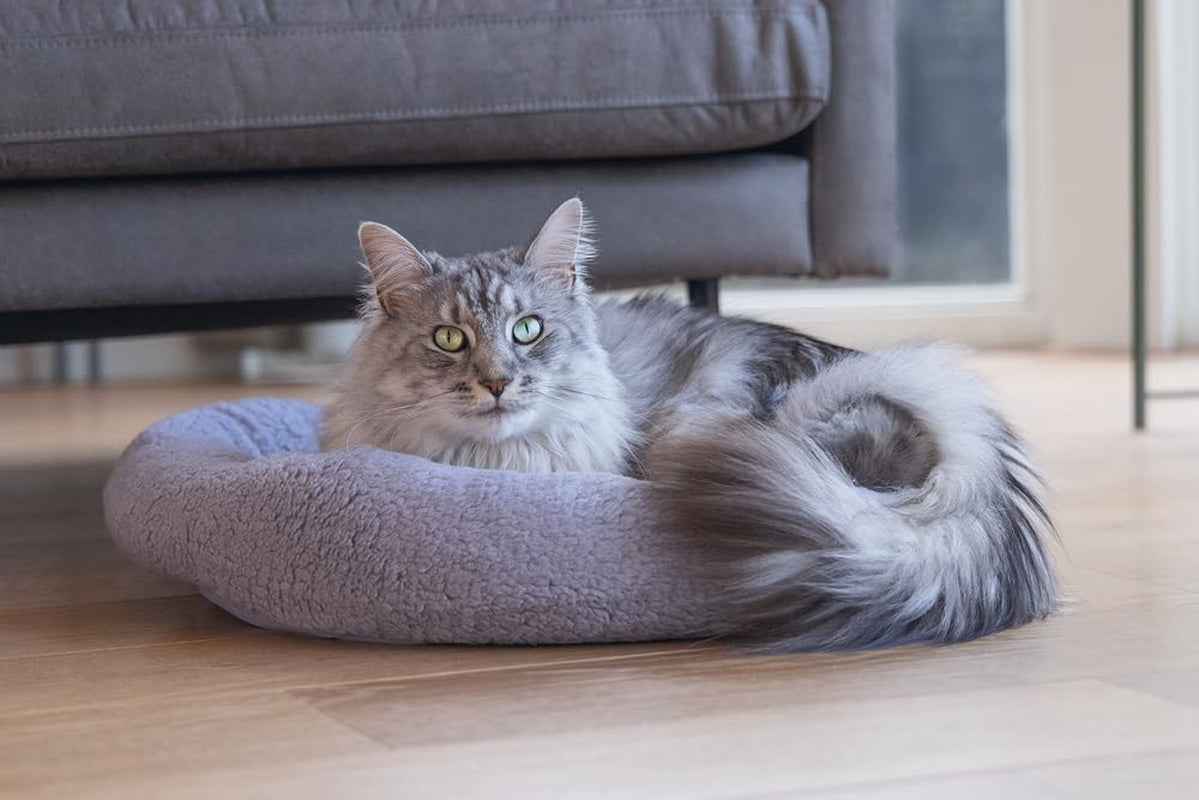 Bedden, dekens & meubels, huisdieren, katten, kattenbedden, Katten - bedden, matrassen