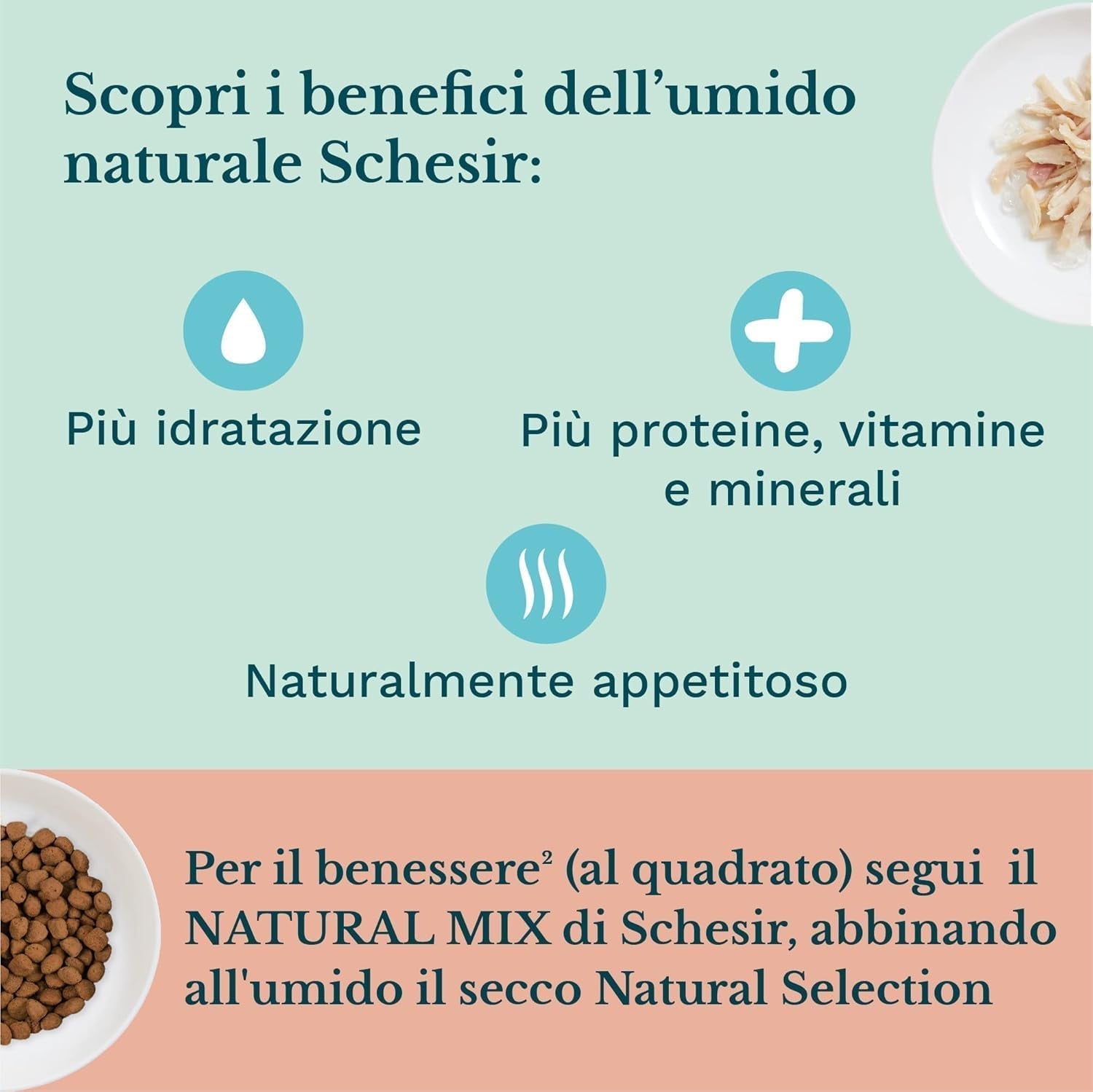 Natvoer voor kleine katten met kipcrème en kip - Natvoer voor kleine katten - Natvoer voor katten met kipcrème, graanvrij, rijk aan eiwitten, vitaminen en mineralen (20 zakjes x 150 g)