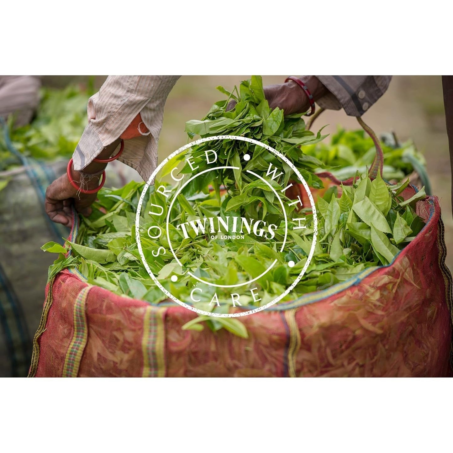 Twinings English Breakfast Tea Losse Zwarte Thee in Theedoos Sterke zwarte thee van hoogwaardige theebladeren geplukt van de beste theeplantages in Sri Lanka en India G, neutraal, 100 gram