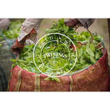 Twinings English Breakfast Tea Losse Zwarte Thee in Theedoos Sterke zwarte thee van hoogwaardige theebladeren geplukt van de beste theeplantages in Sri Lanka en India G, neutraal, 100 gram