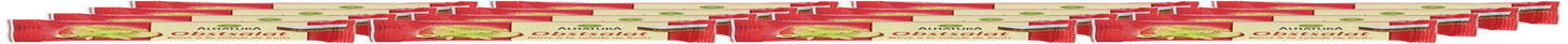 Bio Obstsalat-Riegel, 16er-pakket (16 x 40 g)