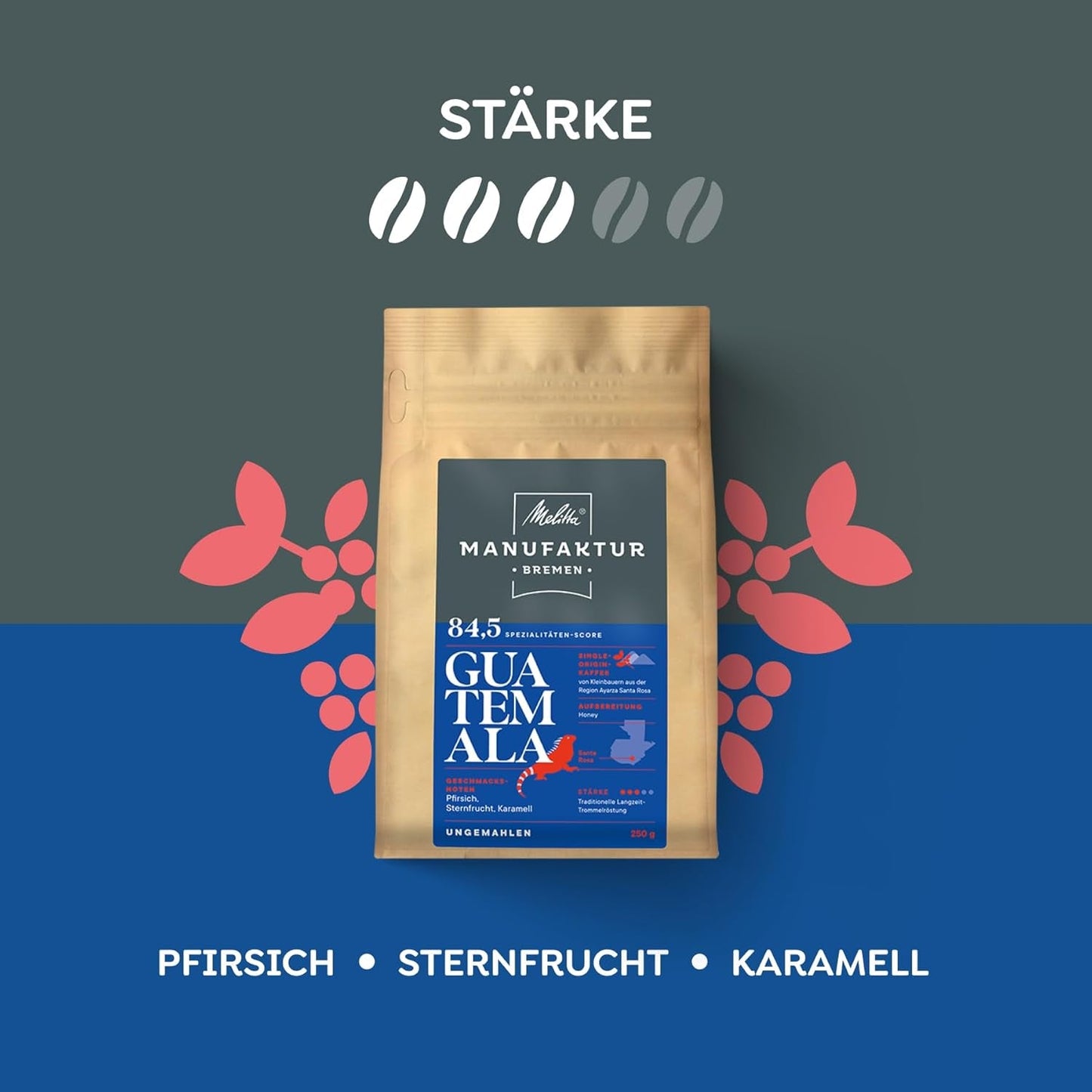 Melitta Manufaktur-Kaffee Guatemala Honing, Spezialitäten, 250g, Ganze Bohnen, Ungemahlen, Single-Origin, Sanfte Trommelröstung, Geröstet in Deutschland, Stärke 3