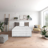 Traumnacht Green basisbedset bestaande uit een dekbed voor het hele jaar door, 135 X 200 cm + kussen 80 X 80 cm, Oeko-Tex gecertificeerd, geproduceerd volgens de Duitse kwaliteitsnorm Dekbedden en dekbedden Naty Shop All-season bedset 135 X 200 Cm