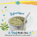ORIGEENS BIO YERBA MATE MET MUNT EN CITROEN 200 G - Versheid I Ongebrande Bio Yerba Mate, bladeren, zonder stengels en stof