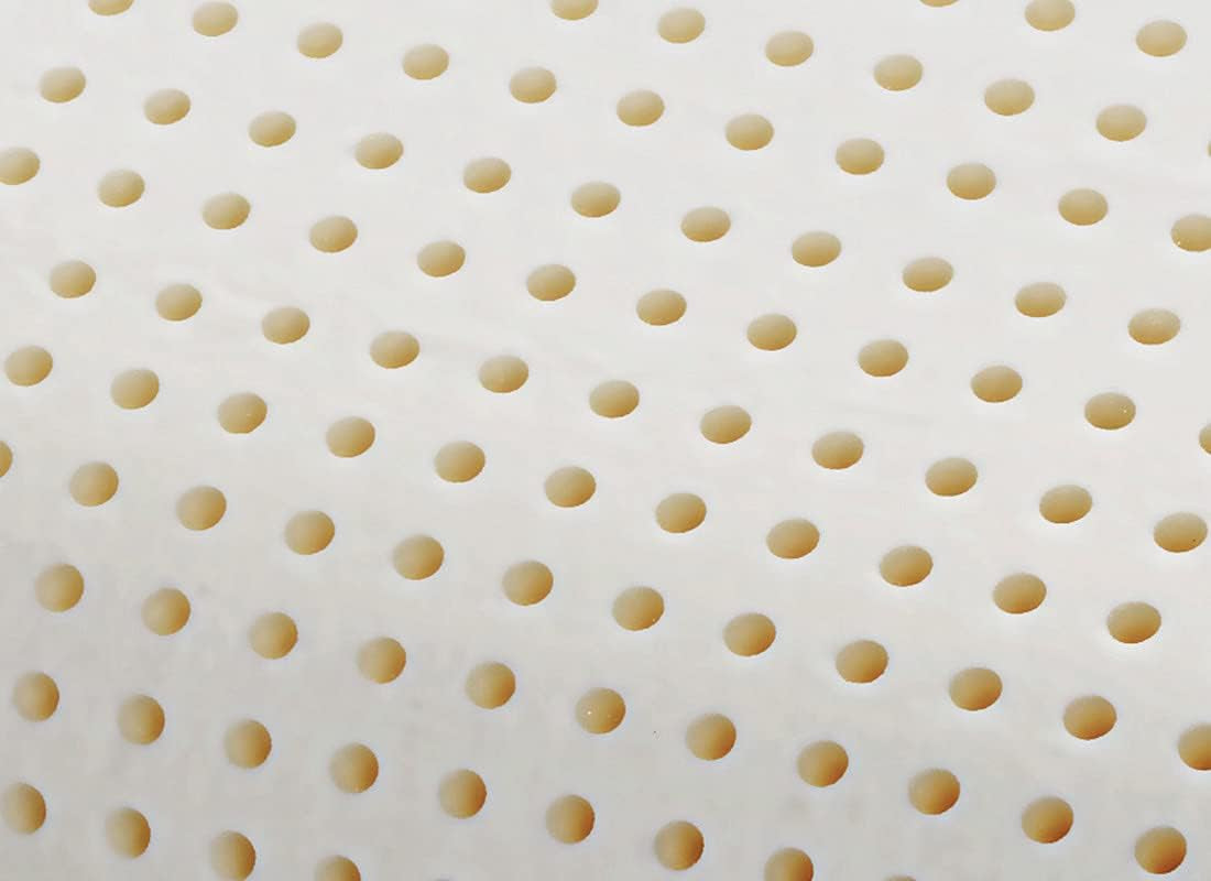 Orthopedisch neksteunkussen - Biologische Aloë - Aloë Vera Visco-elastisch kussen 14 cm hoogte 100% katoenen hoes Visco kussen - Memory Foam Kussen - Gemaakt in Italië Naty Shop Standaardkussens