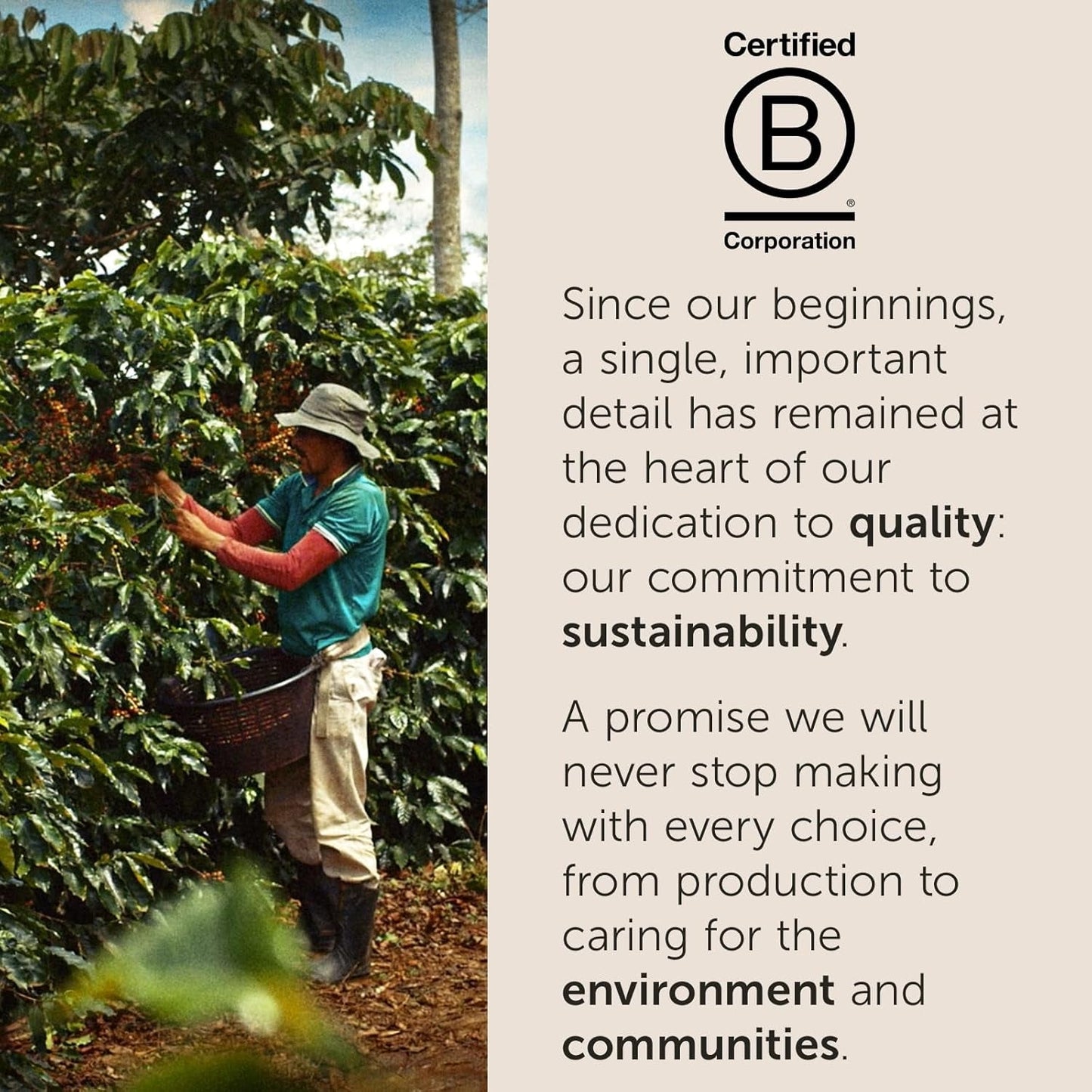 illy, Kaffee E.S.E. Pads Einzeldosis CLASSICO, 100% Arabica met Noten von Orangenblüten en Jasmin, Sanfter Gesmack en Süßer Nachgeschmack, 1 Packung met 18 composteerbare kapsels