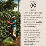 illy, Kaffee E.S.E. Pads Einzeldosis CLASSICO, 100% Arabica met Noten von Orangenblüten en Jasmin, Sanfter Gesmack en Süßer Nachgeschmack, 1 Packung met 18 composteerbare kapsels