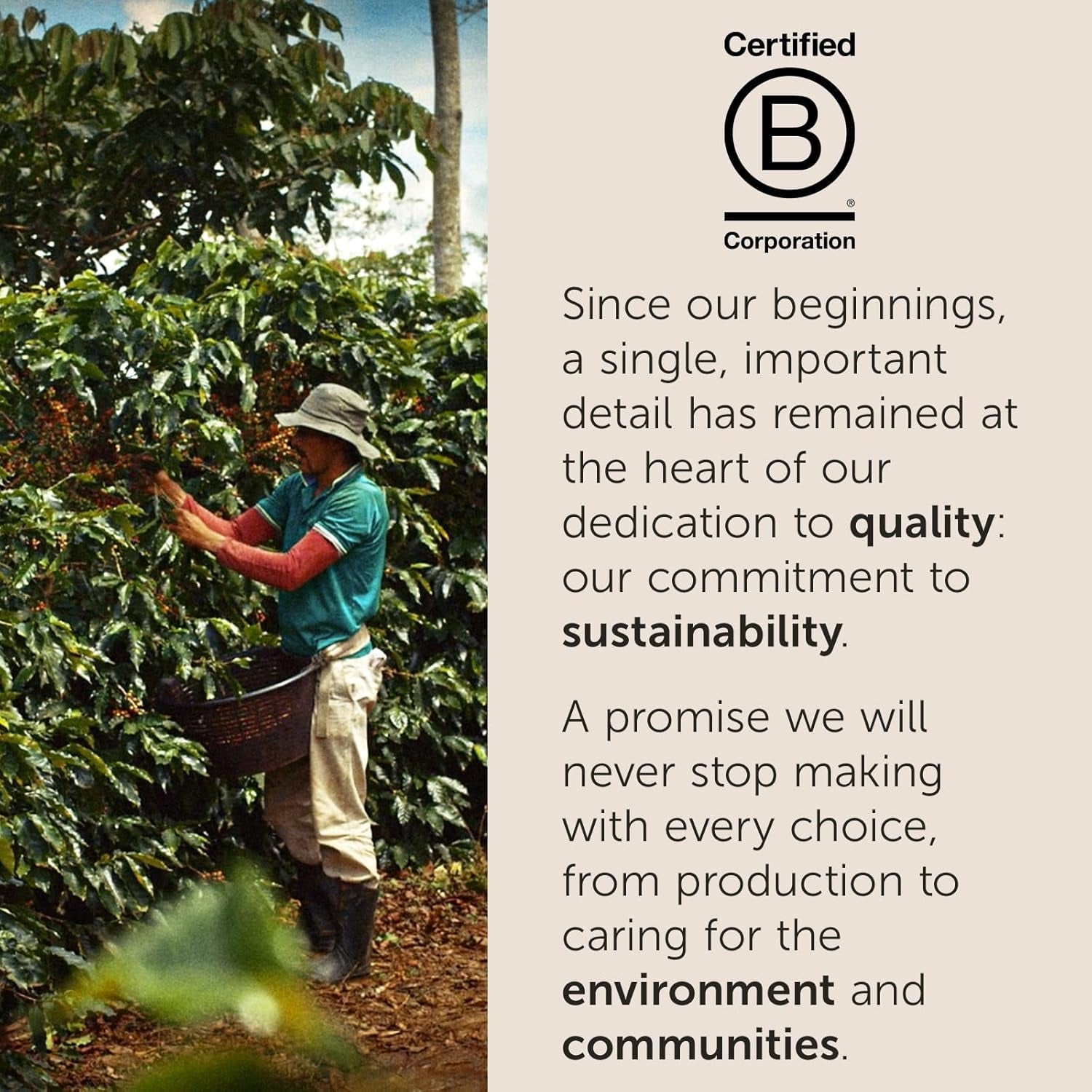 illy, Kaffee E.S.E. Pads Einzeldosis CLASSICO, 100% Arabica met Noten von Orangenblüten en Jasmin, Sanfter Gesmack en Süßer Nachgeschmack, 1 Packung met 18 composteerbare kapsels