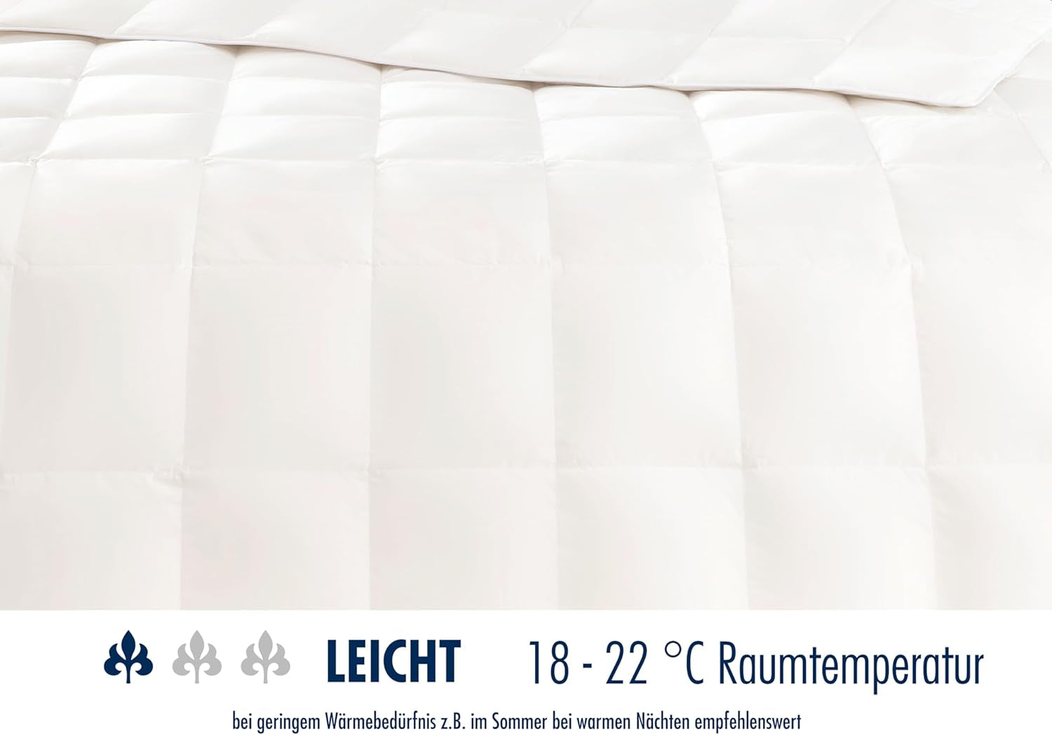 Irisette Nora donzen dekbed Lichtgewicht zomerdekbed met 100% katoenen hoes, 100% donsvulling klasse I, 135 X 200 cm, Oeko-Tex gecertificeerd, geproduceerd volgens de Duitse kwaliteitsnorm Quilts en quilts Naty Shop