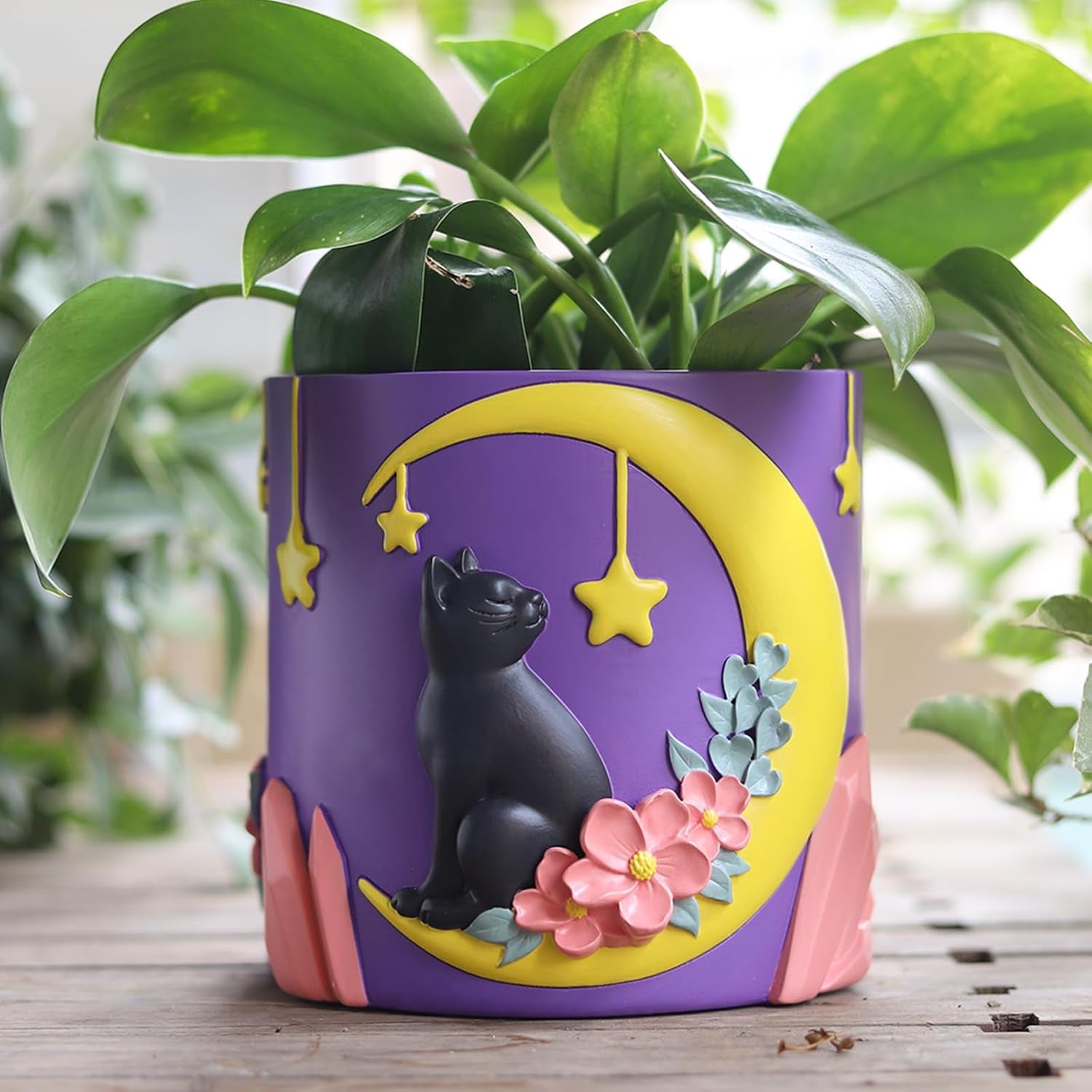 GUGUGO Leuke maankat bloempotten, unieke bloempot met drainage, regenboogkleuren, kleine kamerplantpotten, leuke succulente tuinpotten, cadeau, huisdecoratie (C)