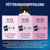 Felix As Good As It Looks Junior Natvoer in gelei voor kittens, gemengde mix, verpakking van 6 (6 x 12 zakjes van elk 85 g)