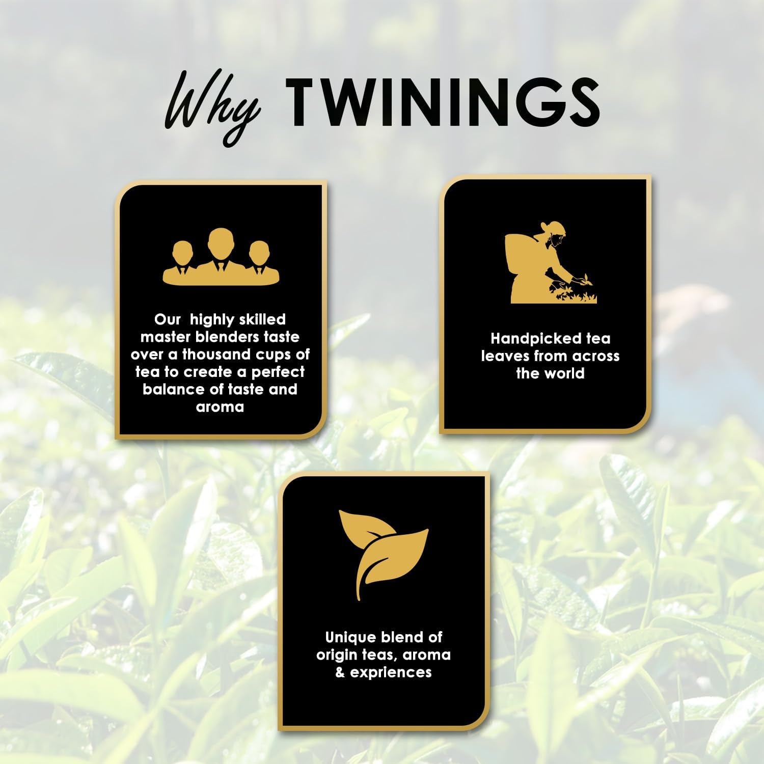 Twinings English Breakfast Black Tea 50g, 25 theezakjes, volle, ronde en sterke zwarte thee van de beste theeplantages in Sri Lanka en India. Zwarte thee, verpakking van 1 (1 x 50 g)