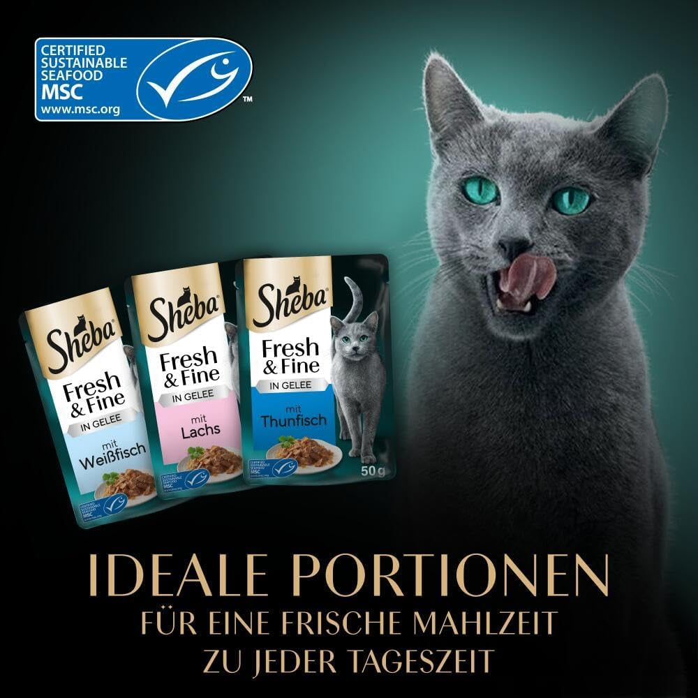 Sheba Portion Pouches Natvoer voor katten, Multipack Fresh & Fine in gelei met MSC tonijn en zalm, 6x6x50g - Gezonde maaltijden voor katten met gelei
