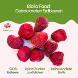 biolla food hele gedroogde aardbeien, 0,5 kg, 100% natuurlijk. Gezonde tussendoortjes voor kinderen. Ideaal voor smoothies, havermuesli, thee en pap. Lange houdbaarheid. VEGAN, GLUTENVRIJ, RAW FOOD Naty Shop Gedehydrateerde producten