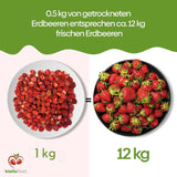 biolla food hele gedroogde aardbeien, 0,5 kg, 100% natuurlijk. Gezonde tussendoortjes voor kinderen. Ideaal voor smoothies, havermuesli, thee en pap. Lange houdbaarheid. VEGAN, GLUTENVRIJ, RAW FOOD Naty Shop Gedehydrateerde producten