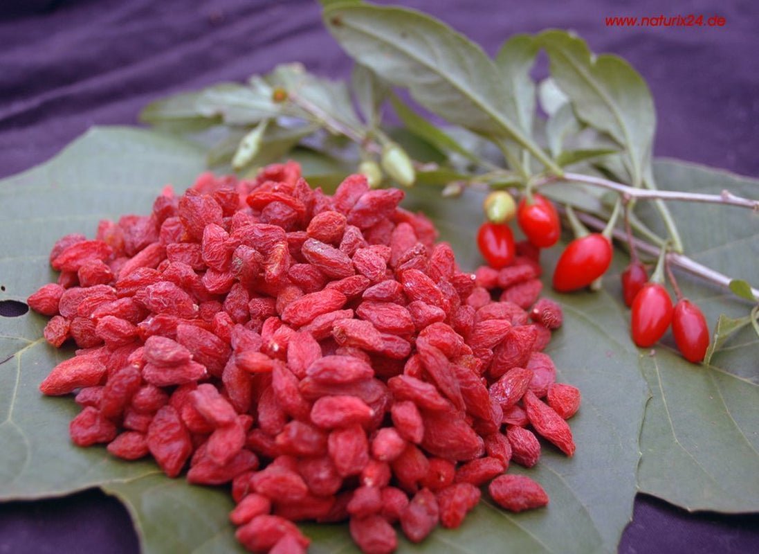 Gedroogde gojibessen - smaakzakje, 1 pakje (1 x 1 kg) Gedroogde producten Naty Shop Standaardtitel