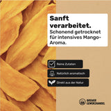 Bremer Gewürzhandel mango, gedroogde mangoreepjes, ongezwaveld, zonder toegevoegde suikers, 1kg Gedroogde producten Naty Shop